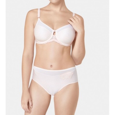 Chiloti Triumph, Azalea Florale Maxi, 38