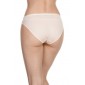 Chiloti Triumph, Azalea Florale Tai, 42