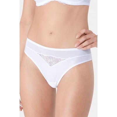 Chiloti Triumph, Azalea Florale Tai, 44